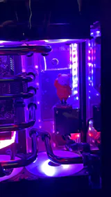 User picture