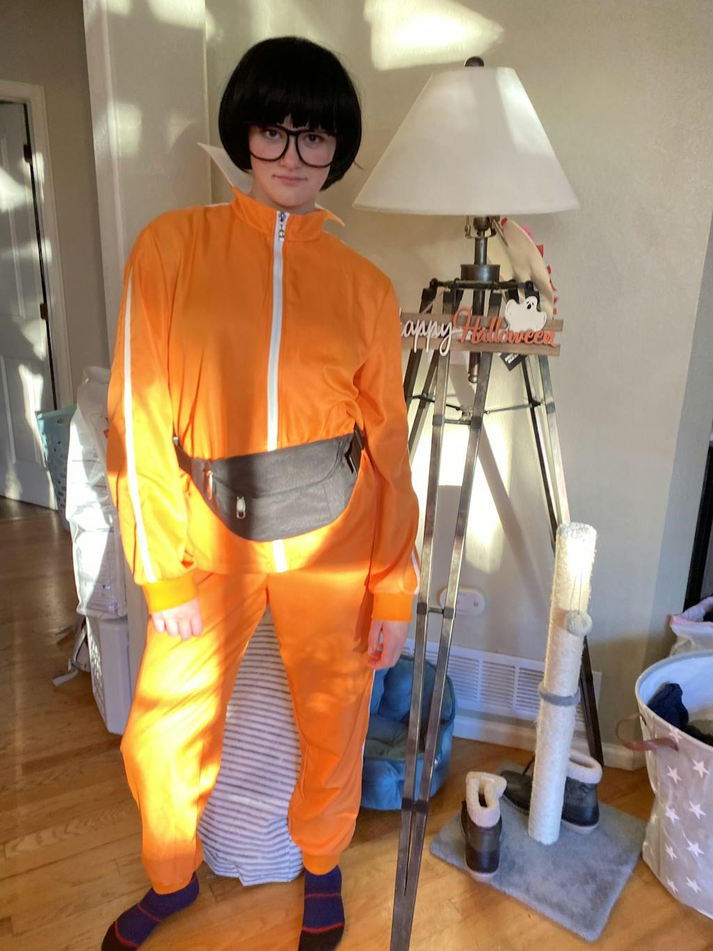 Despicable Me Vector Costume 