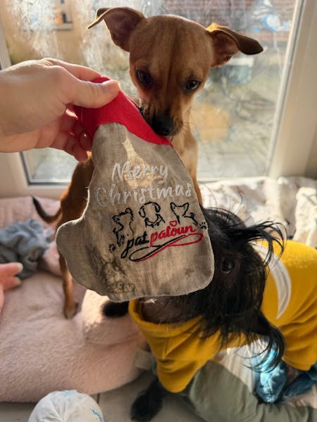 Madame Chaussette de Noël