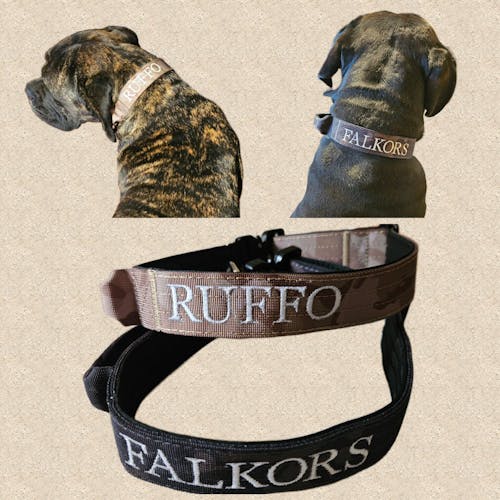 Tactical dog collar Army Camo (4 cm)