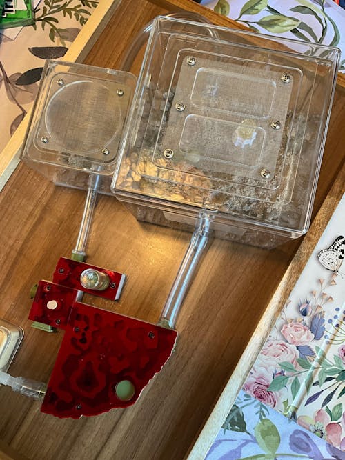 Nest Formicarium (Ant Farm)