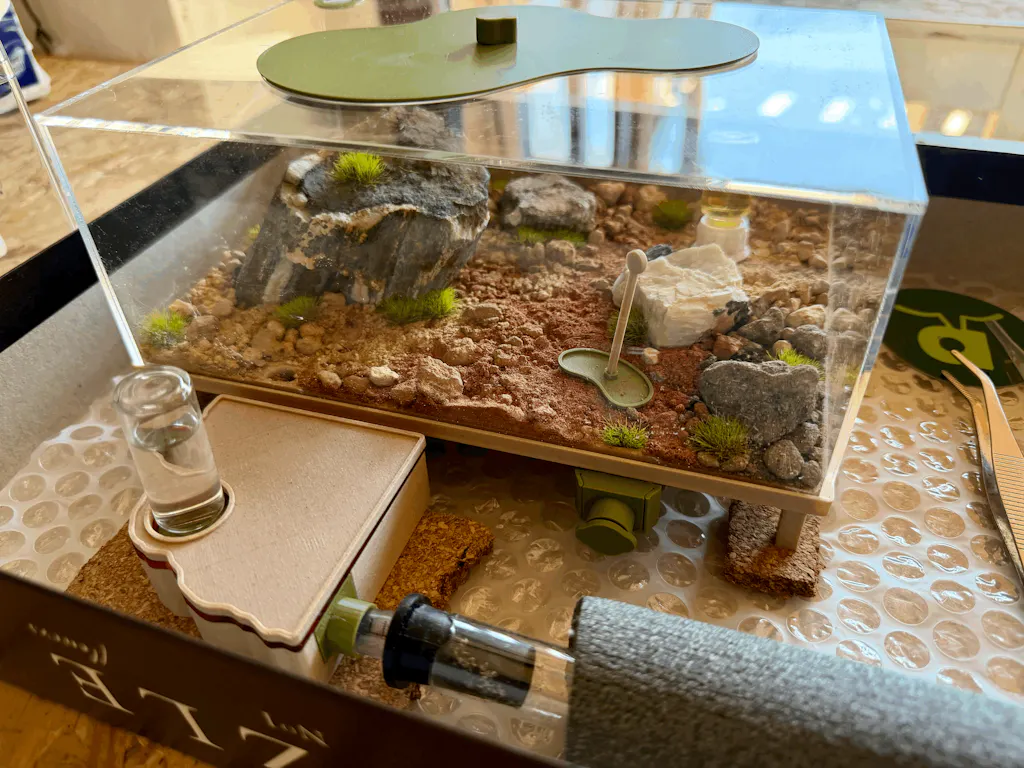Nest Formicarium (Ant Farm)