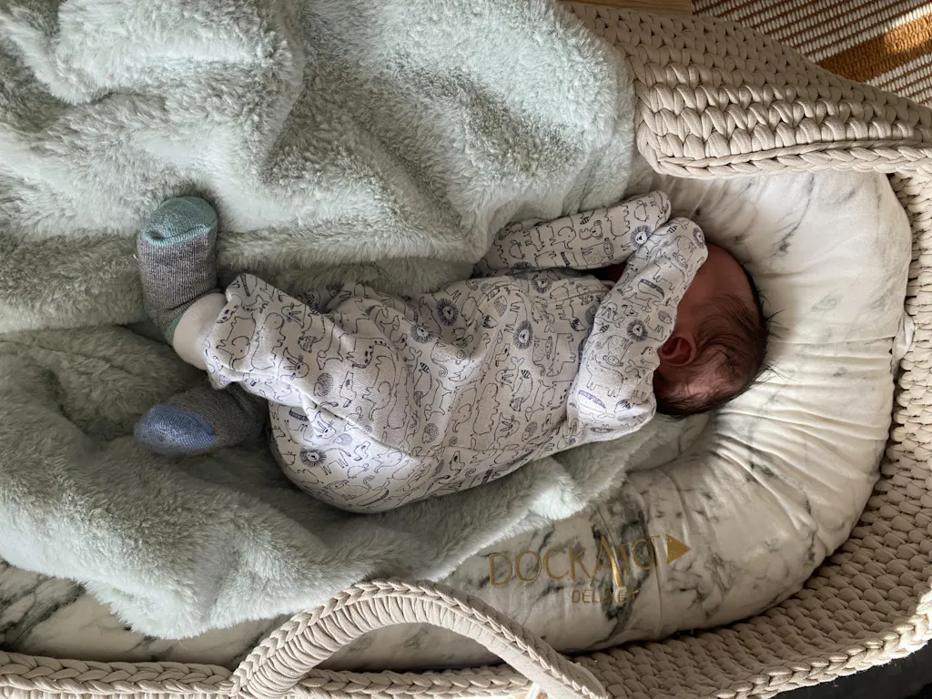 XL Moses Basket for Loungers | Handmade Bassinet | Anzy Home