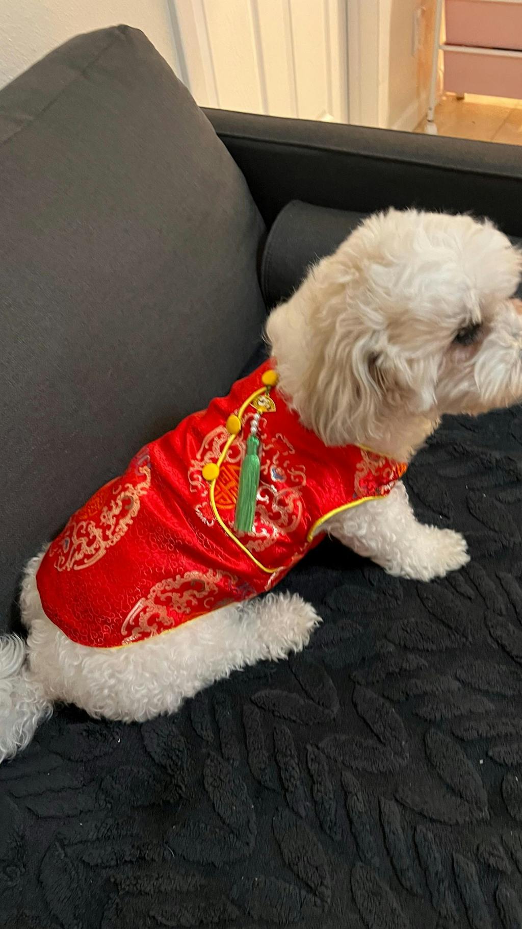 Pet Red Gam Short Sleeves Green Tassel Ao Dai 45A