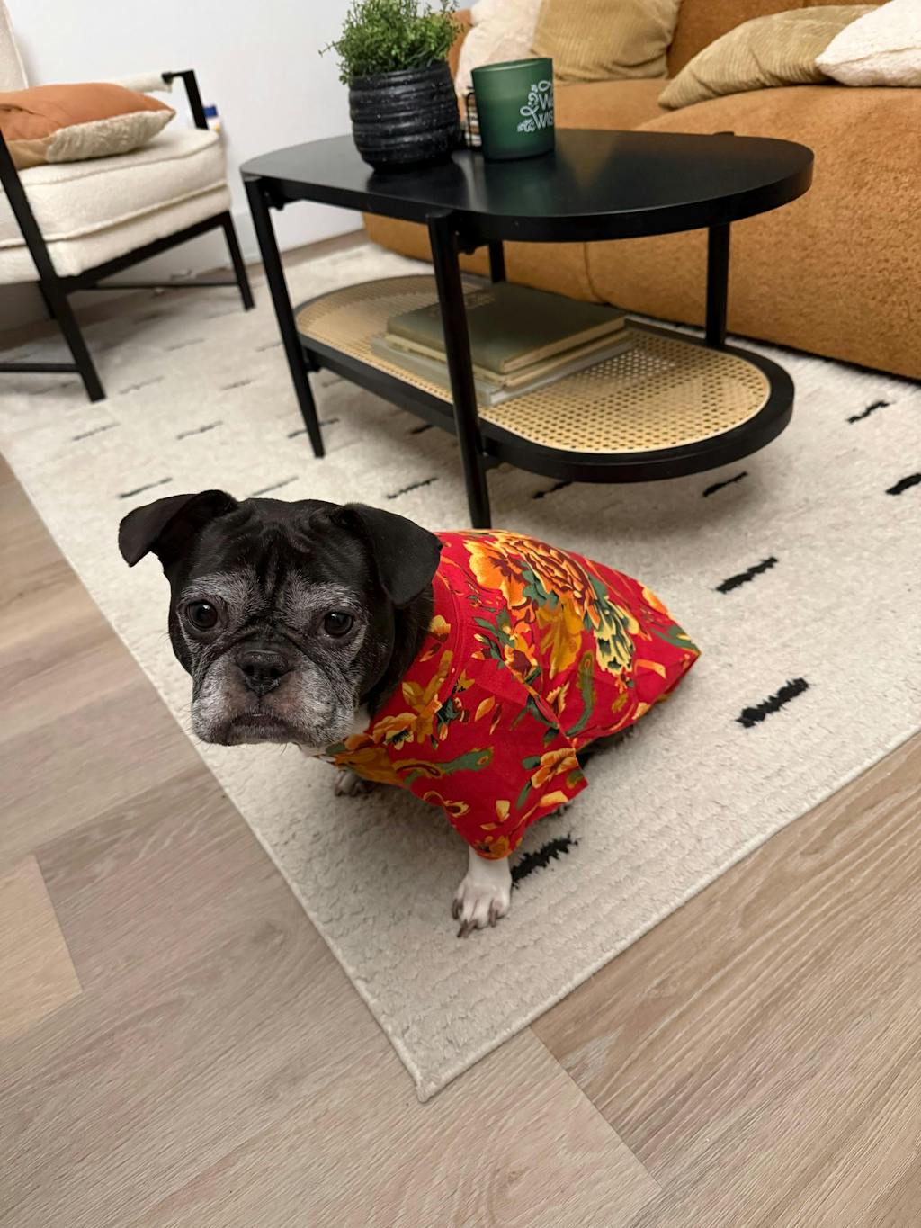 Pet Red Vietnamese Floral Retro Pattern Ao Dai 46A