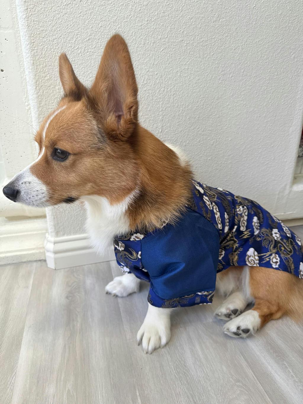 Pet Gam with Buttons Ao Dai (Red, Blue, Yellow) 48A-B