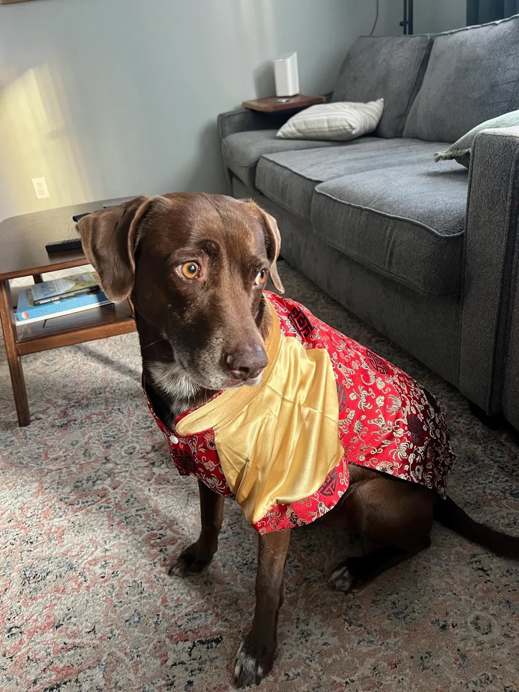 Pet Red/Yellow Gam Green Tassel Ao Dai 47A