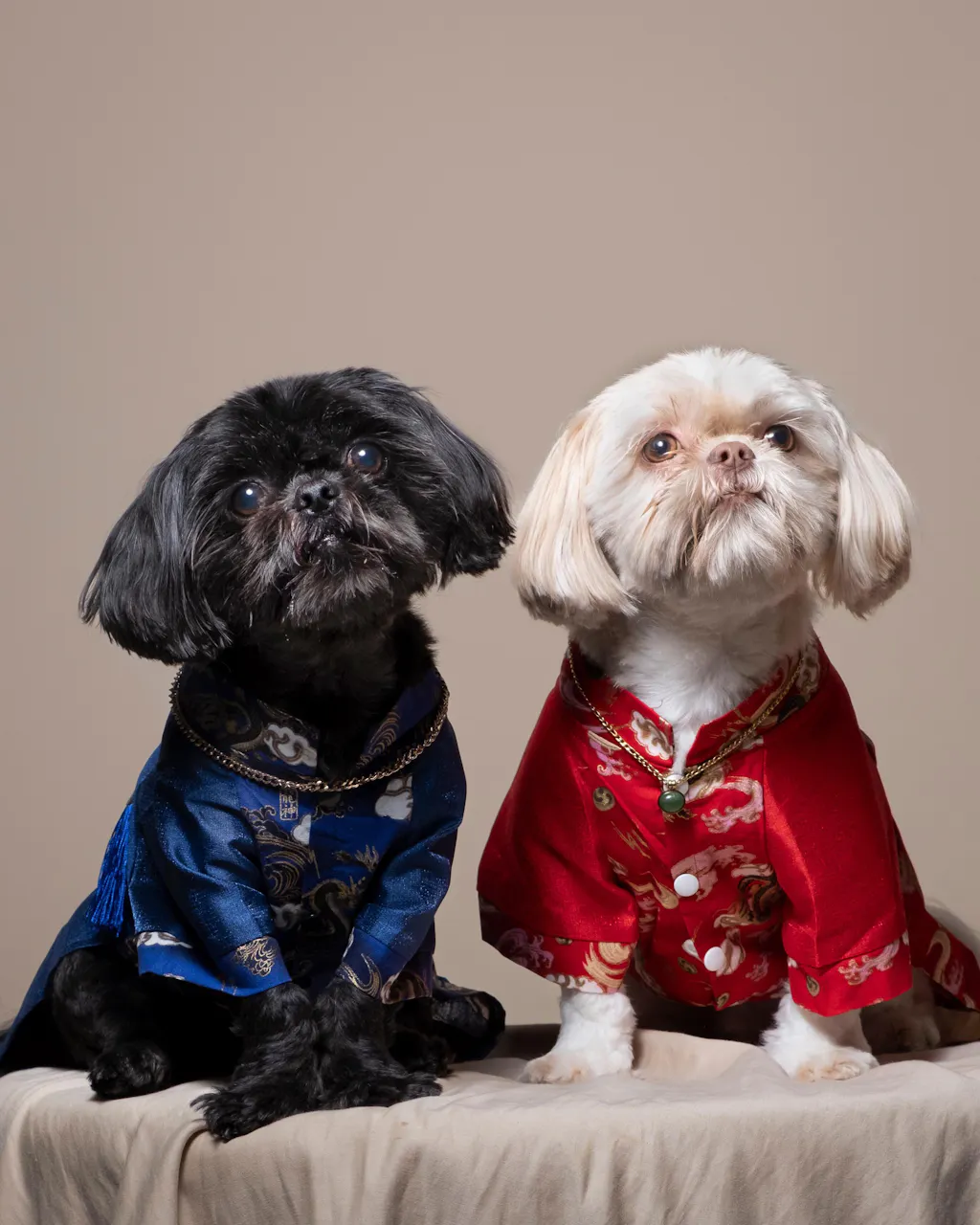 Pet Gam with Buttons Ao Dai (Red, Blue, Yellow) 48A-B