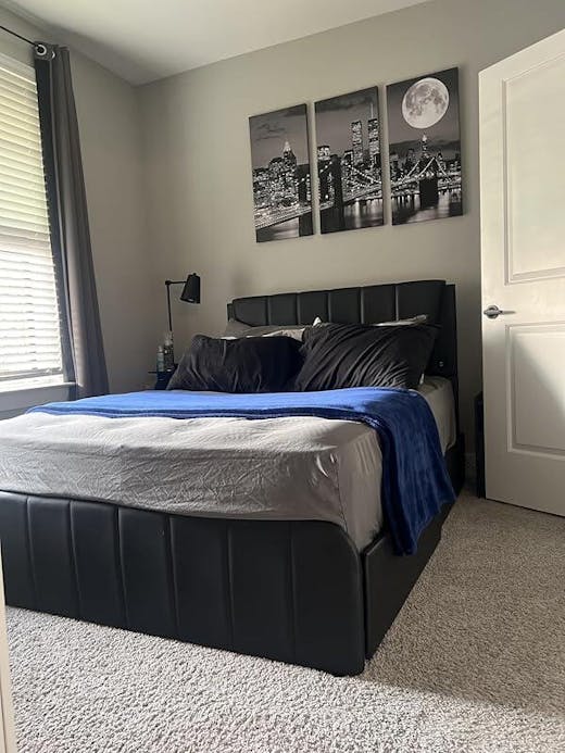 Led Platform Bed Frame Black