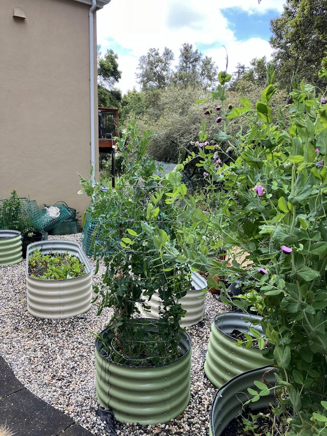 17" Tall Round Raised Garden Bed - 42" Diameter Aluzinc Planter