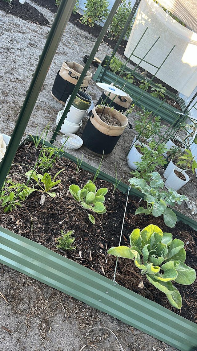 6x3/8x4 ft. Outdoor Raised Garden Bed - Reinforced Galvanized Steel Planter Box