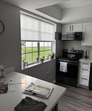 Linen Premium Light Filtering Cellular Blinds