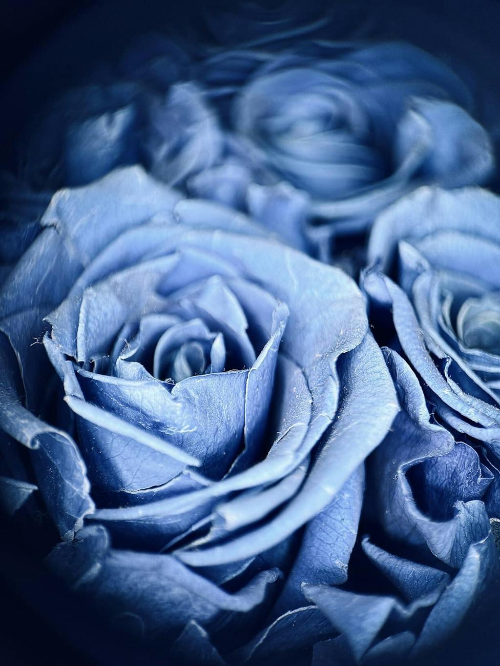 New 3 in 1 Mobile Phone Lens Clip and 100mm Macro Lens Kit with Fill Light