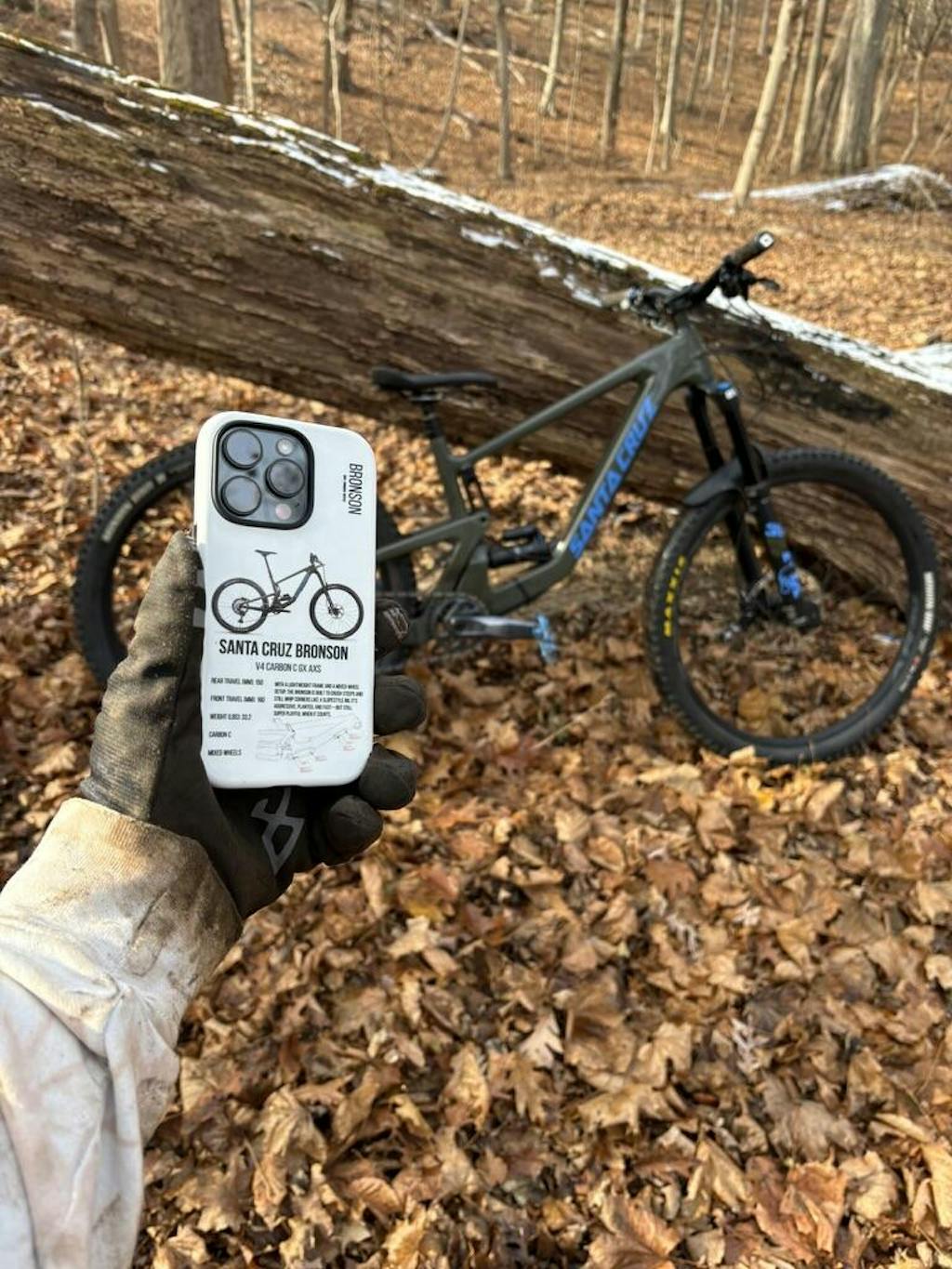 Santa Cruz Bronson Gloss Moss