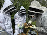 White cotton bee suit