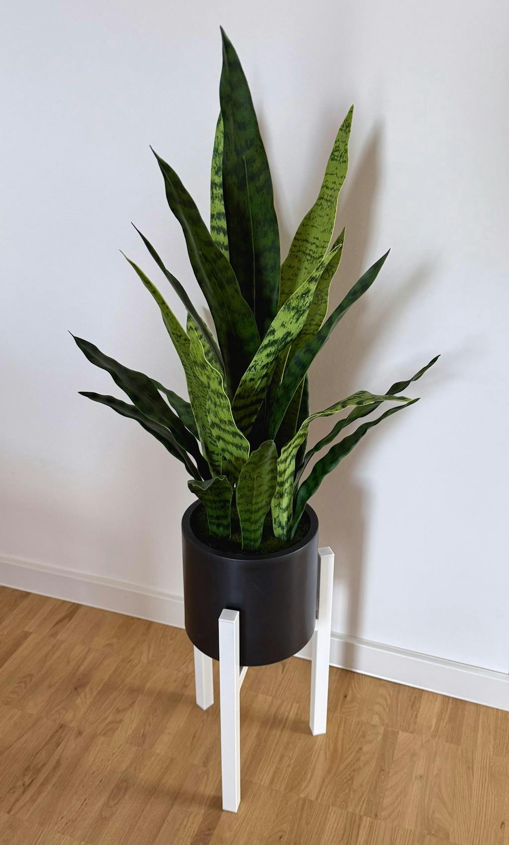 Künstlicher Bogenhanf - Leandro | 75 cm