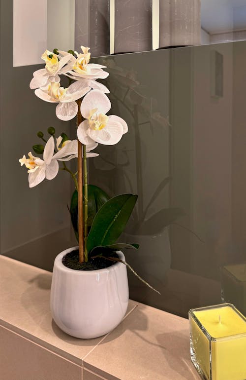 Künstliche Orchidee - Mian | 45 cm