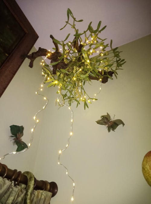 Künstlicher Mistelzweig - Will | 58 cm