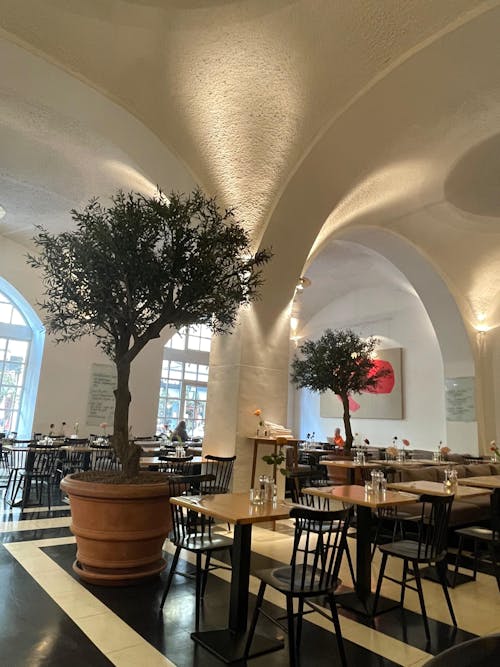 Künstlicher Olivenbaum - Ilias | 270 cm