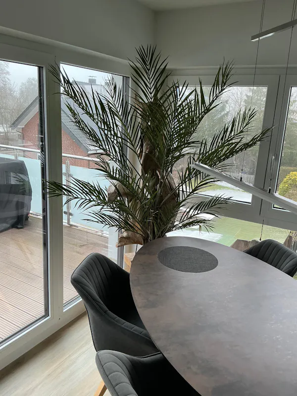 Künstliche Kentia-Palme – Caliora | 180 cm