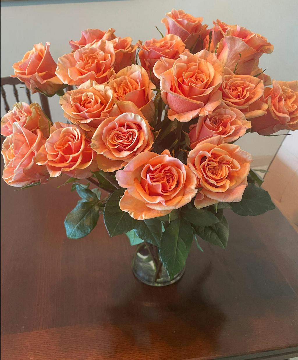 Phoenix™ Peach-Pink Rose | April & Ashley