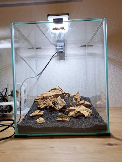 Aquael Shrimp Set Day&Night | Nano Aquarium Komplett-Set