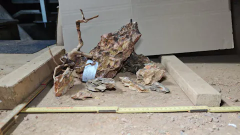 Drachenstein / Dragon Stone | Ohko Stein / Ohko Rock | Premium Variante