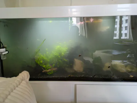 Aqua Birne - Premium Mineral Powder | Natürlicher Wasseraufbereiter + Mineralien