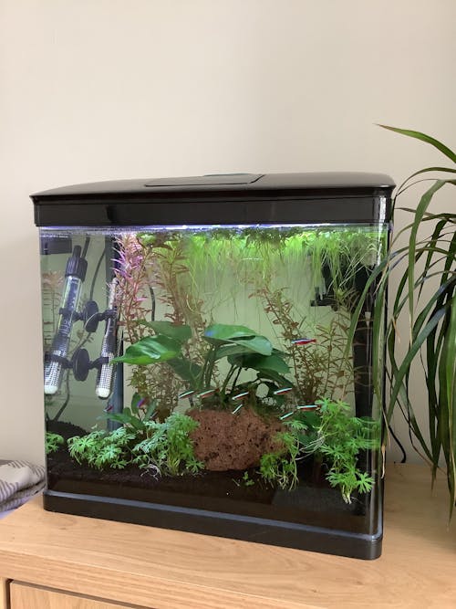 Scaped For You Collection - Layout 30 (27L) Easy