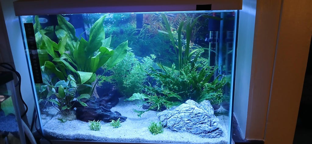 Scaped For You Collection - Layout 1 (54L) Easy