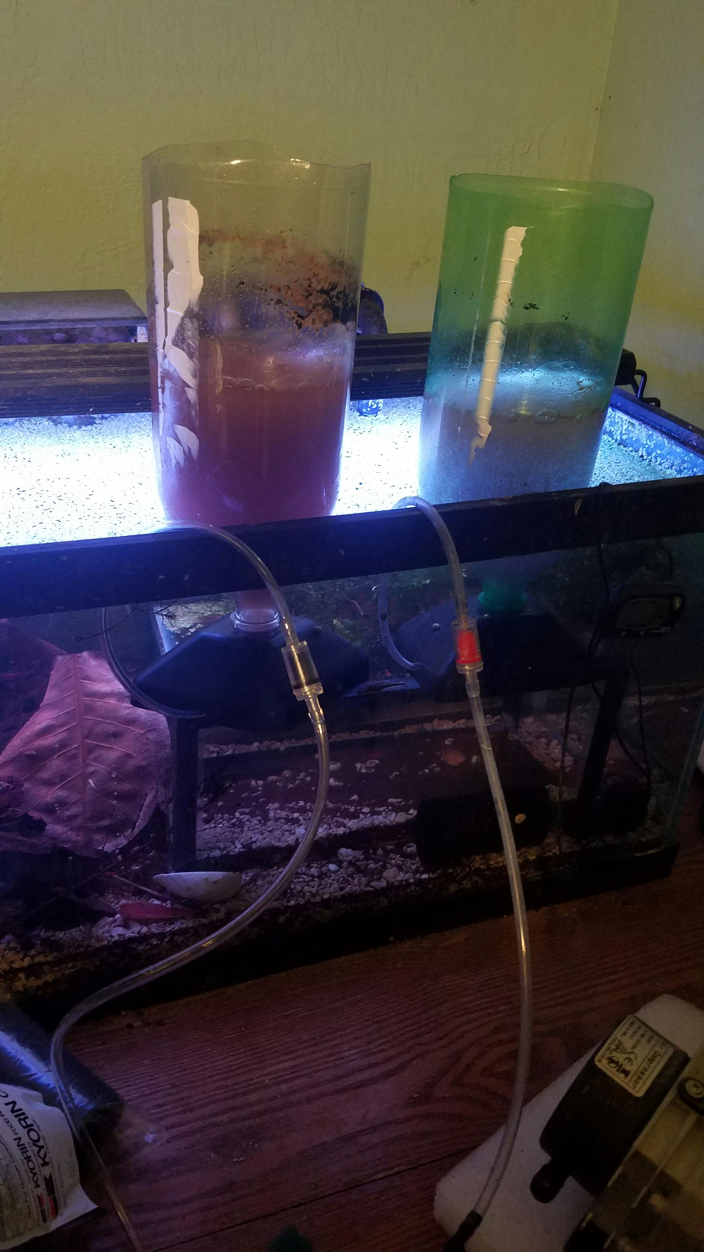 Aquarium CoOp Brine Shrimp Hatchery Kit