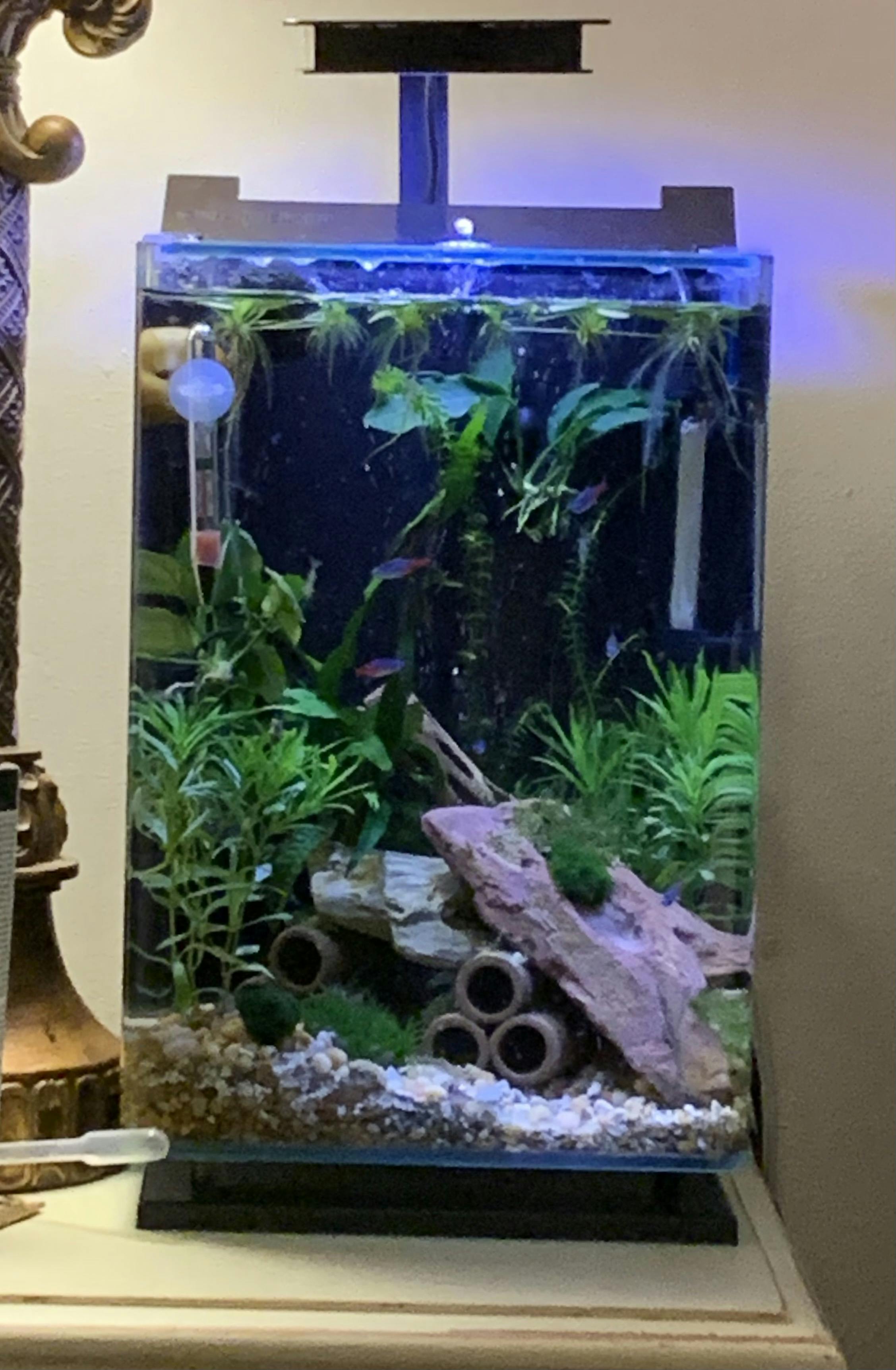 送料無料でお届けします GEX LED FLUVAL PLANT NANO アクアリウム aob