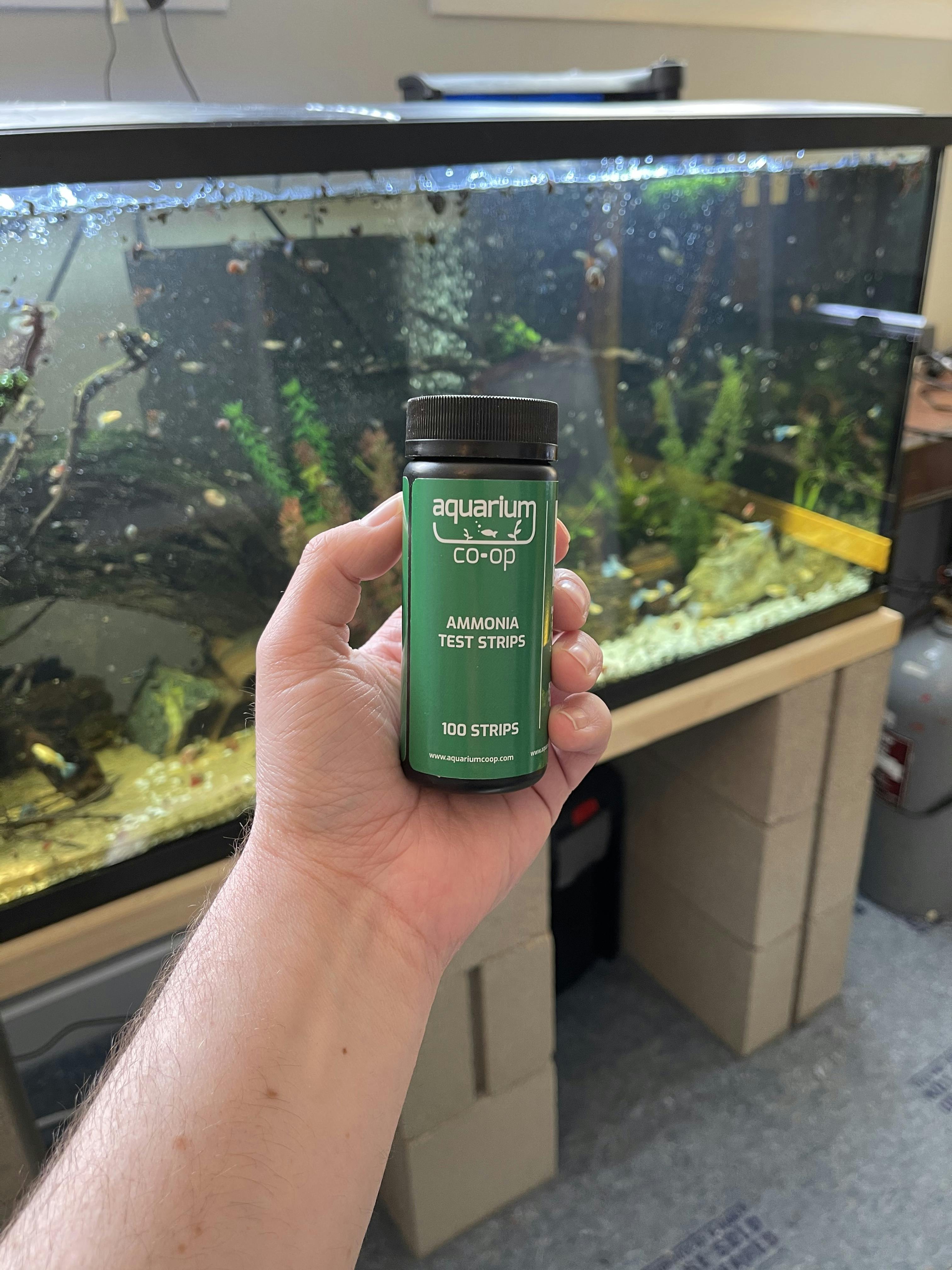 Reviews for Aquarium CoOp Freshwater Fish Store in Edmonds, WA