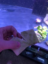 Cleaning Supplies Durable 3 in 1 Aquarium Fish Tank Cleaning Sponge Br –  KOL PET