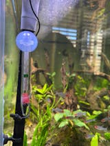 Underwater Treasures Floating Glass Thermometer