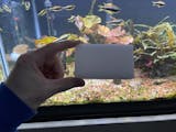 Cleaning Supplies Durable 3 in 1 Aquarium Fish Tank Cleaning Sponge Br –  KOL PET