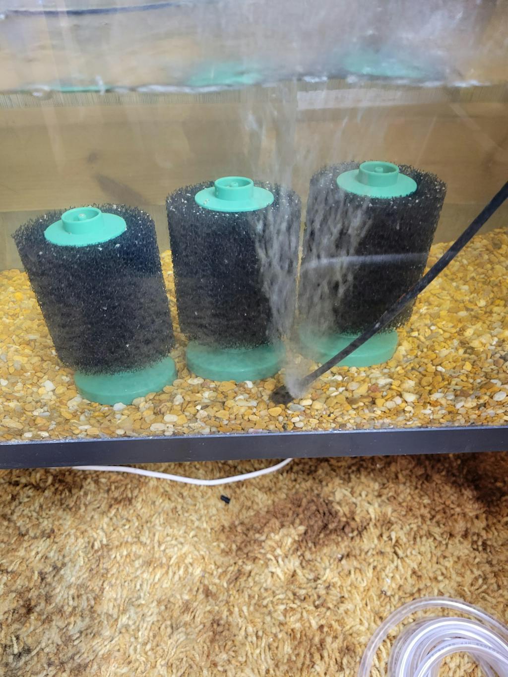 Aquarium CoOp Easy Fry Food Aquarium Fish Food for Nano Fish & Fry