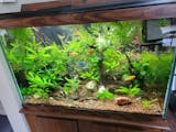 SUNGROW Betta Aquarium & Koi Pond Polishing Filter Floss, Media Pad for Fish  Tank Cartridge 