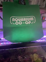 Aquarium Co-op Reusable Shopping Bag | Small and Large Sizes Small