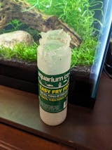 Top 5 Tiny Foods to Feed Your Aquarium Fish Fry for Healthy Growth –  Aquarium Co-Op