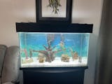 Aquarium Co-op Easy Planter