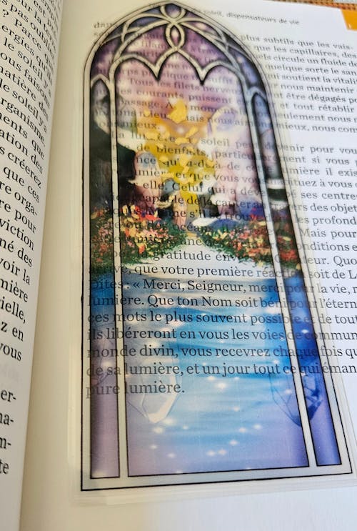 Petit guide des thés et infusions