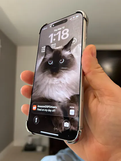 Arc Pulse x Lisa for iPhone 15 Pro Max