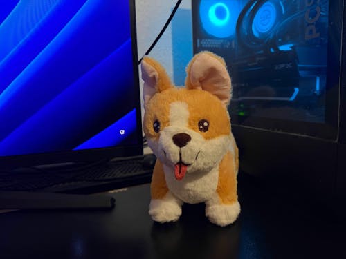 Steve the Corgi - LIMITED EDITION Plush