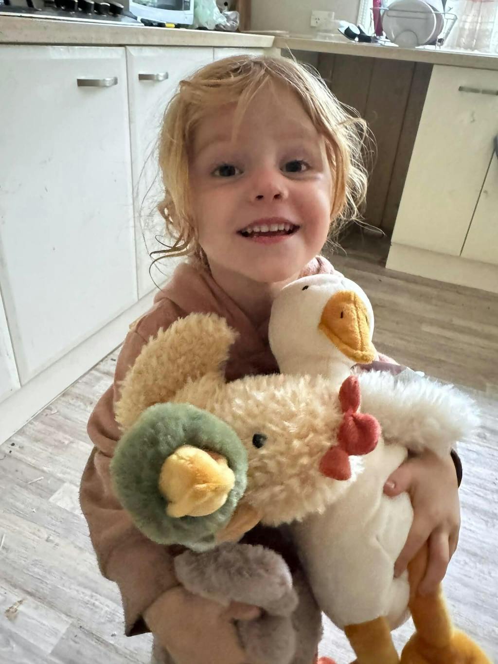 Hugo the Mallard Duck