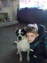 User picture