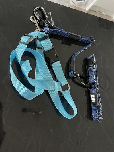 3-in-1 Dog Car Tether Benmore