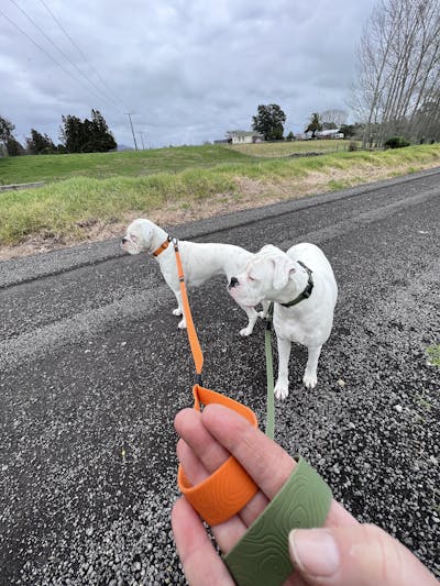 Orange Terraflow Waterproof Dog Collar