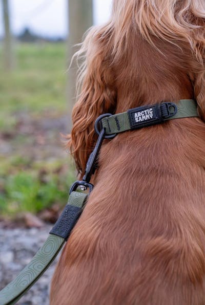 Olive Terraflow Traffic Handle Leash