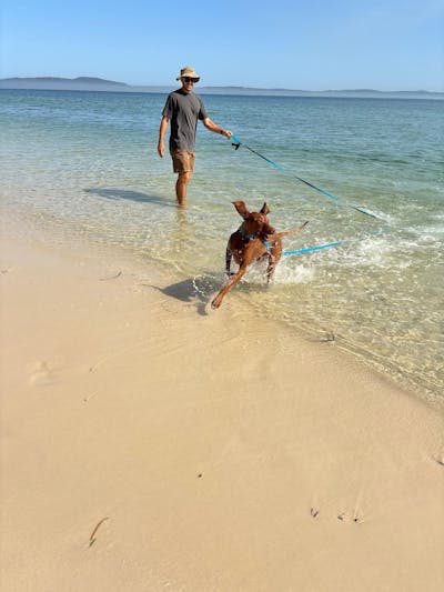 Teal Terraflow Long Line Dog Leash